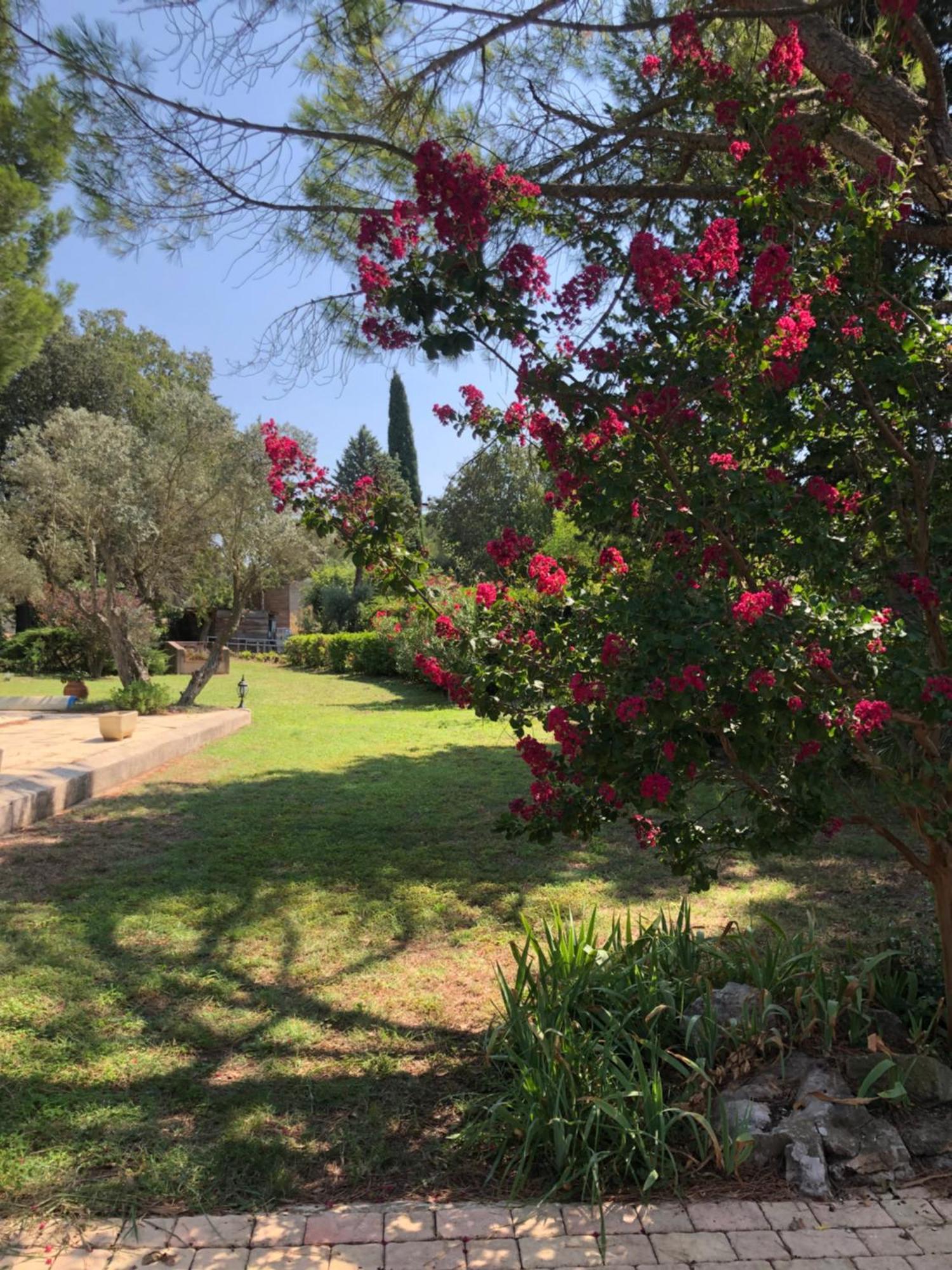 Gite En Provence Dans Grand Jardin Avec Piscine Partagee Cornillon-Confoux Εξωτερικό φωτογραφία